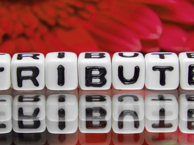 White cubes spell "TRIBUTE" with a reflective surface and a flower background